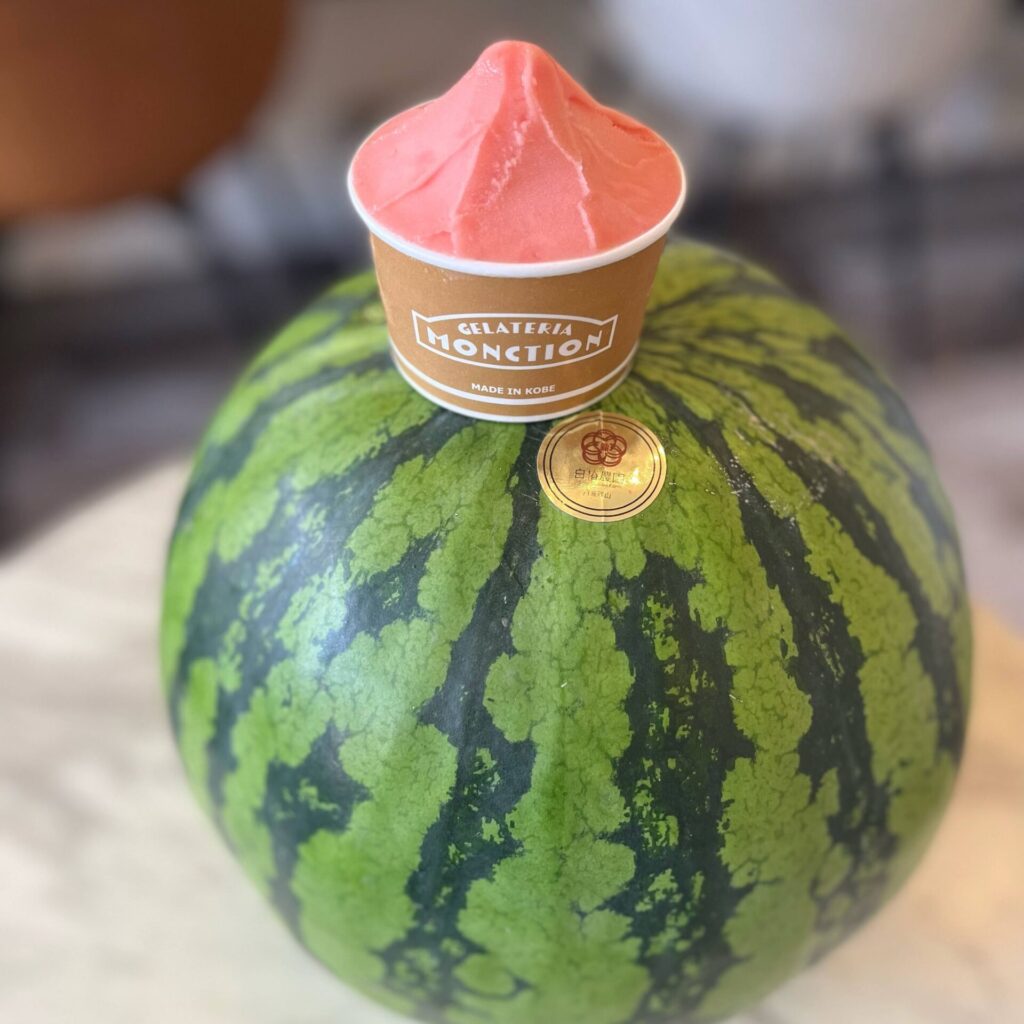 tanba-watermelon-gelato